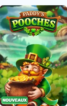 Paddys Pooches